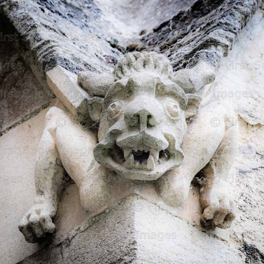 Gargoyle Cecil, works at Ely Cathedral 
 Gargoyle Cecil, works at Ely Cathedral 
 Keywords: ely cathedral outside gargoyles eel catcher 'cecil' wraptious order