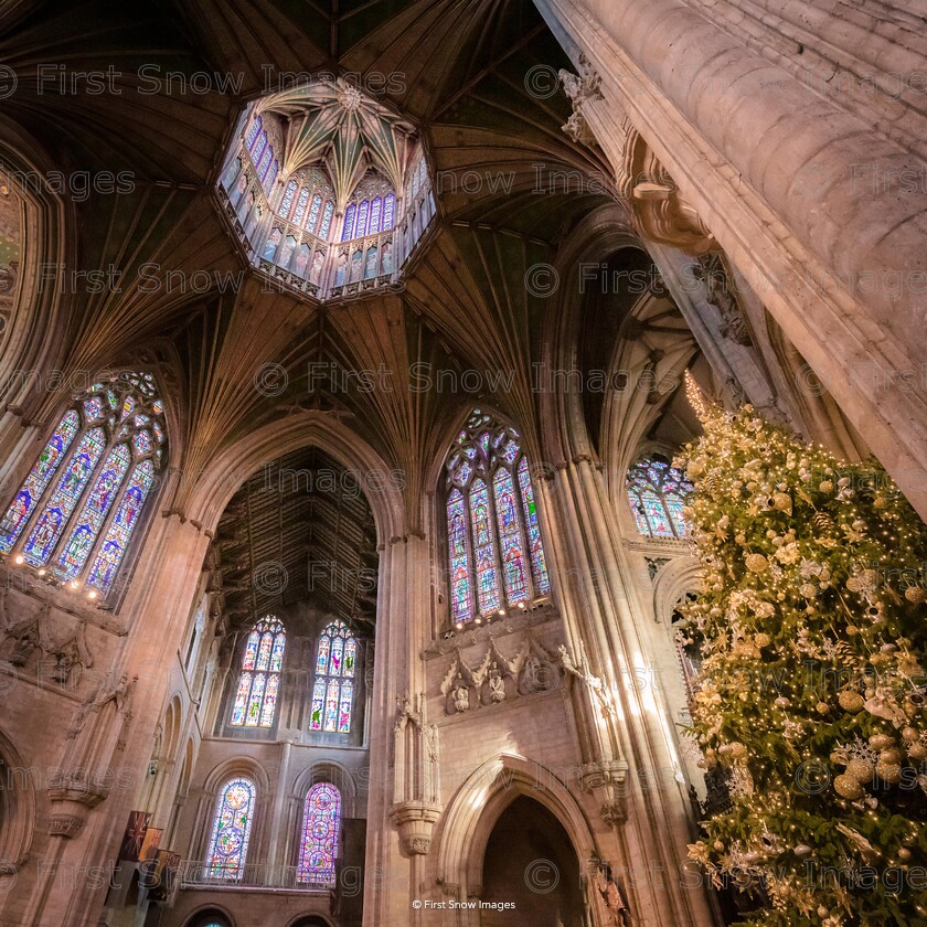 Christmas Octagon 
 PLEASE NOTE - THIS IMAGE HAS BEEN VERY POPULAR AND I HAVE 2 CURRENTLY AVAILABLE. PLEASE MESSAGE ME VIA THE CONTACTS TAB TO ORDER MORE 
 Keywords: tx1_sale_limit:2
christmas xmas lights ely octagon cathedral night tree, ely cathedral wraptious 'Christmas @ Ely Cathedral', notebook