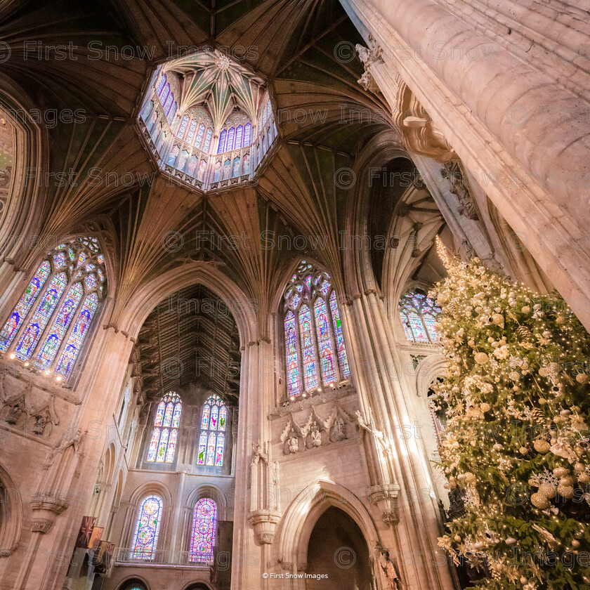 Christmas @ Ely Cathedral 
 PLEASE NOTE - THIS IMAGE HAS BEEN VERY POPULAR AND I HAVE 12 CURRENTLY AVAILABLE. PLEASE MESSAGE ME VIA THE CONTACTS TAB TO ORDER MORE 
 Keywords: tx1_sale_limit:12
christmas xmas lights ely octagon cathedral night tree, ely cathedral wraptious 'Christmas @ Ely Cathedral', notebook, wimsey