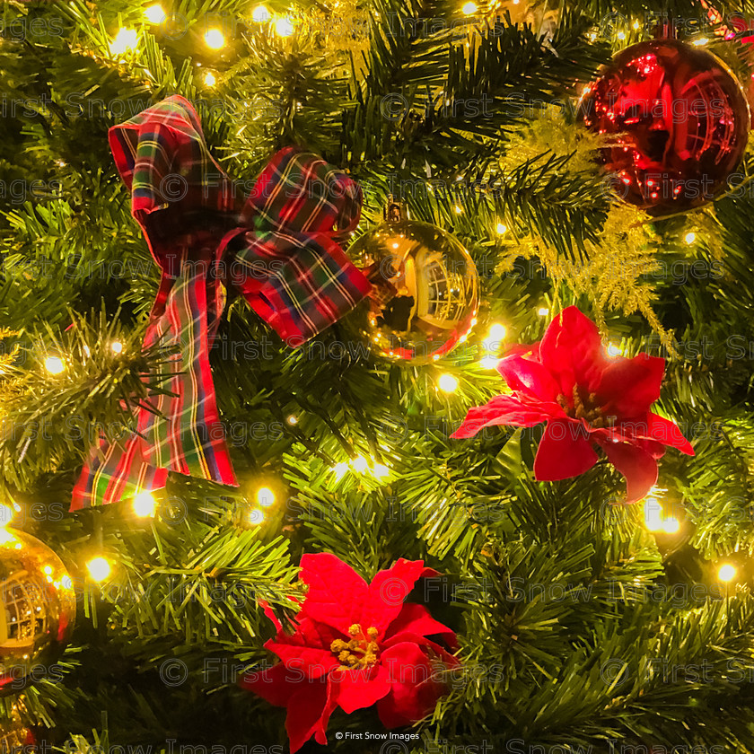 Poinsettia, Bows & Baubles 
 Poinsettia, Bows & Baubles