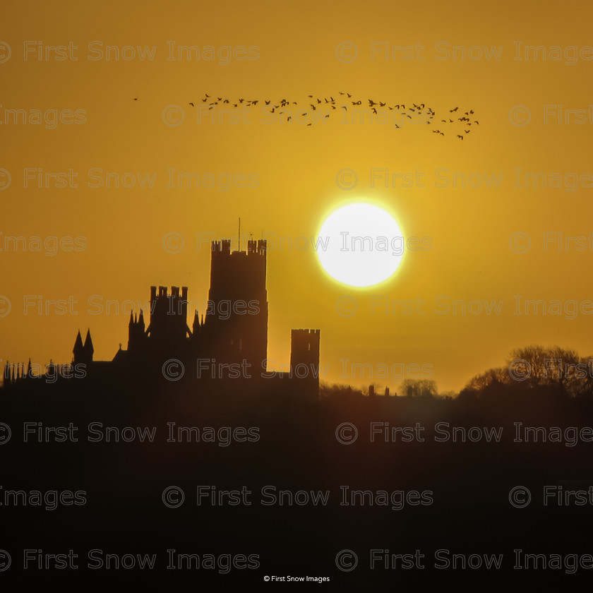 Yellow Cathedral, Ely 
 PLEASE NOTE - THIS IMAGE HAS BEEN VERY POPULAR AND I ONLY HAVE 8 CURRENTLY AVAILABLE. PLEASE MESSAGE ME VIA THE CONTACTS TAB TO ORDER MORE 
 Keywords: tx1_sale_limit:8
Cathedral yellow sunrise card wraptious, architecture, eventEC2019 Women, mug, print, shop-coaster