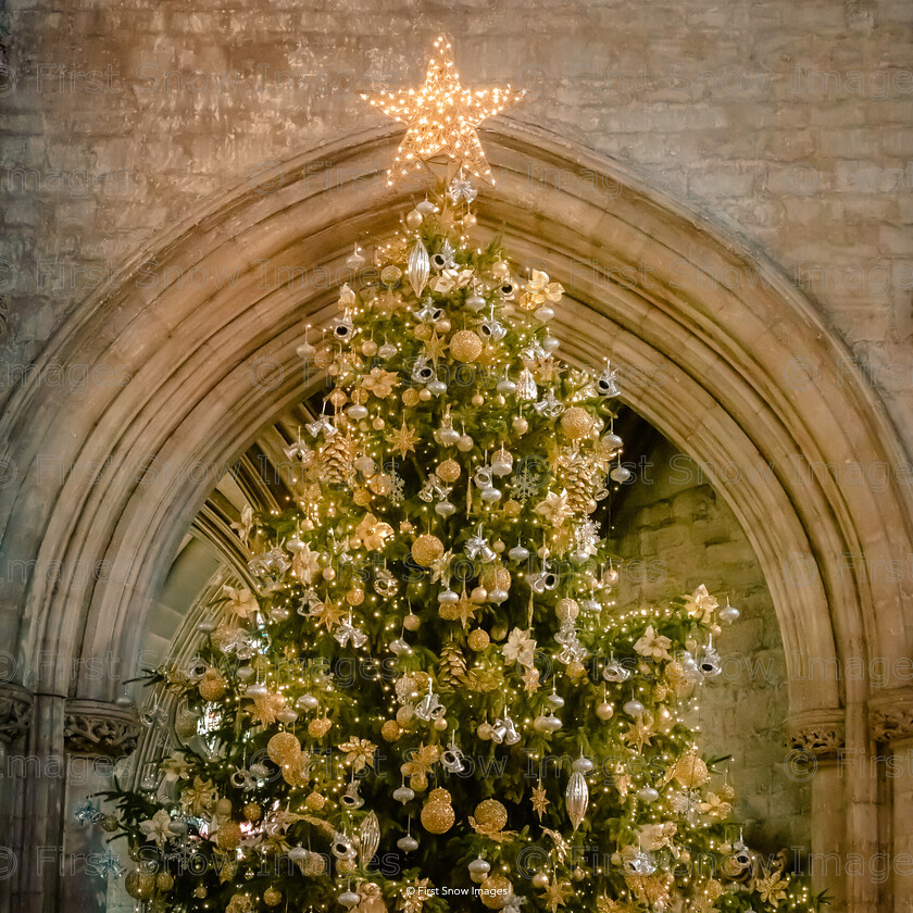 The Tree, Ely Cathedral 
 Keywords: tx1_sale_limit:1
christmas xmas lights ely octagon cathedral night tree, ely cathedral wraptious 'The tree @ Ely Cathedral'