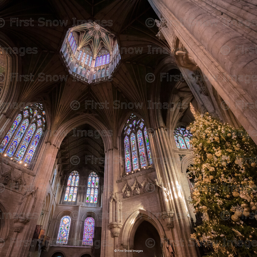 Christmas at Ely Cathedral 
 Keywords: tx1_sale_limit:3
christmas xmas lights ely octagon cathedral night tree, ely cathedral wraptious 'Christmas @ Ely Cathedral'