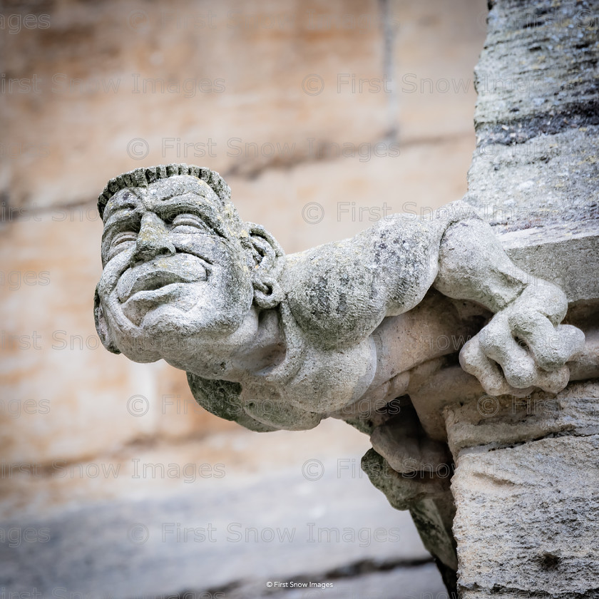 Gargoyle Brian, works at Ely Cathedral 
 Gargoyle Brian, works at Ely Cathedral 
 Keywords: ely cathedral outside gargoyles eel catcher 'brian' wraptious order