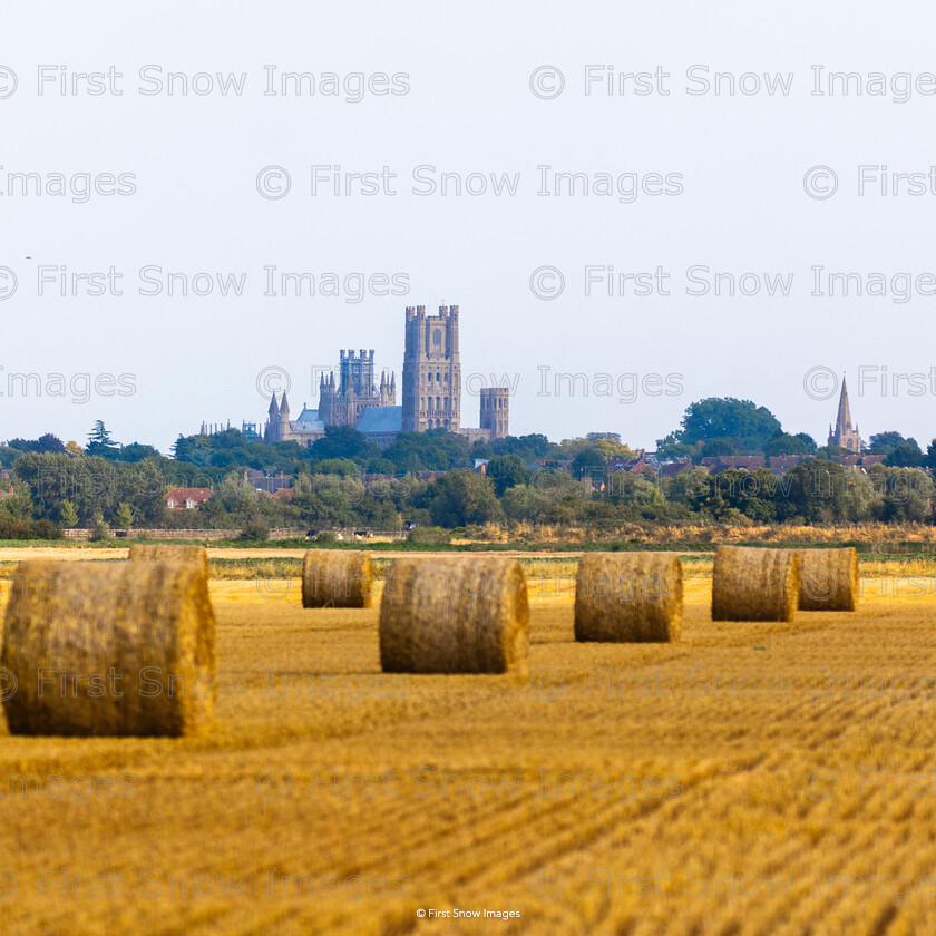 Harvest time in Ely 
 Keywords: 'Harvest time in ely', cathedral, ely, harvest, hay bales, landscape, wraptious