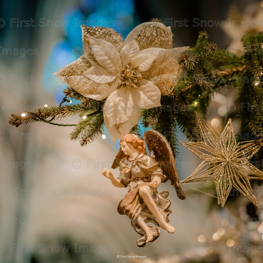 Angel, Ely Cathedral 
 Keywords: tx1_sale_limit:20
christmas xmas lights ely octagon cathedral night tree, ely cathedral wraptious 'Angel decoration @ Ely Cathedral'