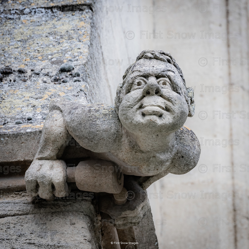 Gargoyle Dave, works at Ely Cathedral 
 Gargoyle Dave, works at Ely Cathedral 
 Keywords: ely cathedral outside gargoyles eel catcher 'Dave' wraptious order