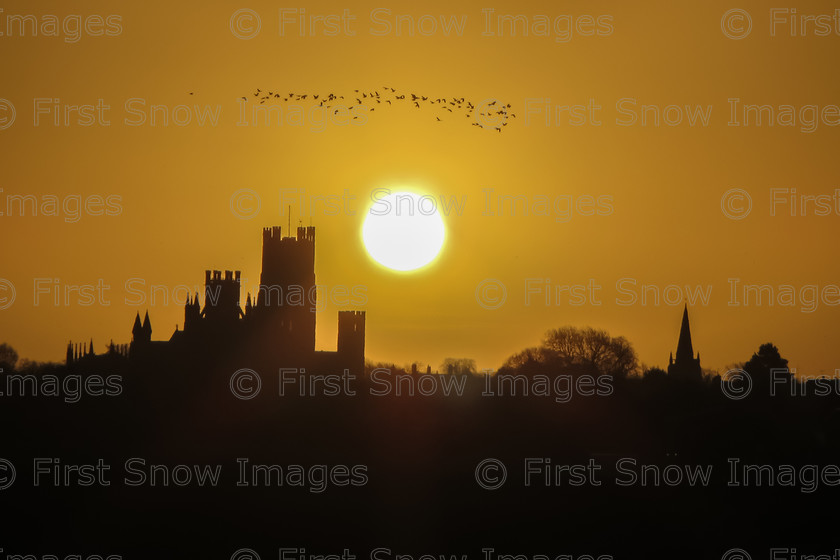 Yellow Cathedral Sunrise, Ely 
 PLEASE NOTE - THIS IMAGE HAS BEEN VERY POPULAR AND I ONLY HAVE 3 CURRENTLY AVAILABLE. PLEASE MESSAGE ME VIA THE CONTACTS TAB TO ORDER MORE 
 Keywords: tx1_sale_limit:3
Cathedral yellow sunrise eventEC2019, shop - teatowel, wraptious