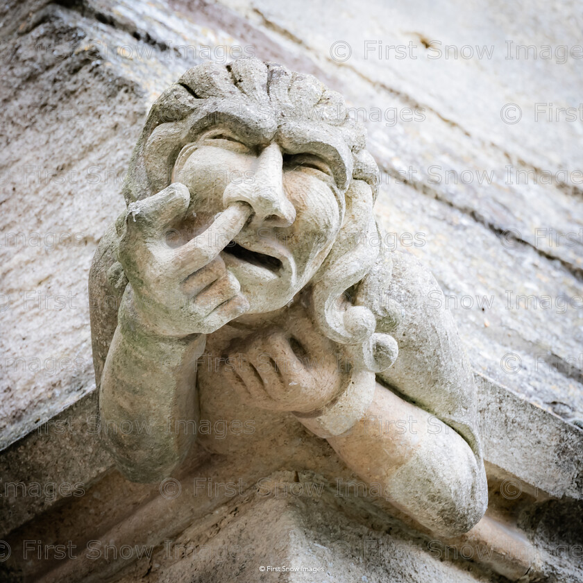 Boris, Ely Cathedral 
 PLEASE NOTE - THIS IMAGE HAS BEEN VERY POPULAR AND I HAVE 20 CURRENTLY AVAILABLE. PLEASE MESSAGE ME VIA THE CONTACTS TAB TO ORDER MORE 
 Keywords: tx1_sale_limit:20
ely cathedral outside gargoyles eel catcher 'Boris' wraptious order